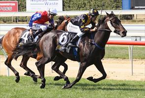 Two Sugars wins the $70,000 Mitavite Summer Challenge on Mornington Cup Day